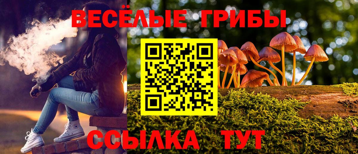 Лабинск  Галлюциногенные грибы прущие грибы  Вход с VPN 
