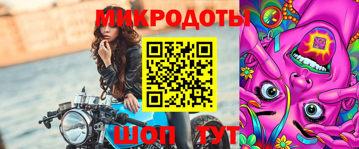 Галлюциногенные грибы Cubensis Лабинск
